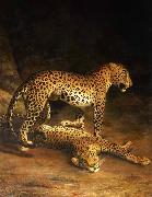 Two Leopards Lying in the Exeter Jacques-Laurent Agasse
